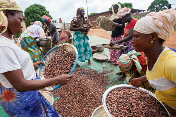 Key NORC report on child labour within cocoa supply reveals significant concerns still remain