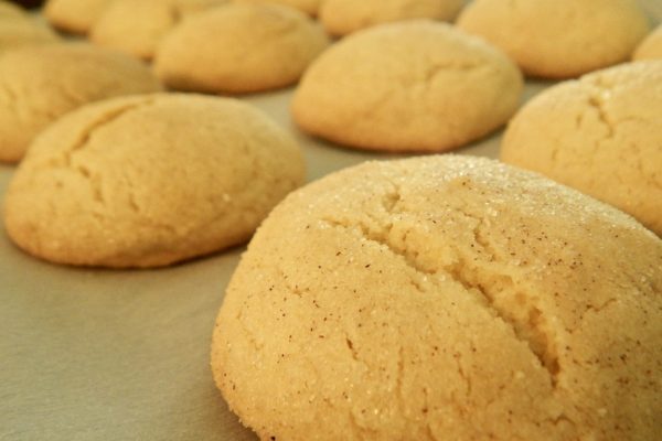 UK biscuit maker’s brands up for sale